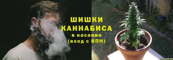 прущая мука Бородино