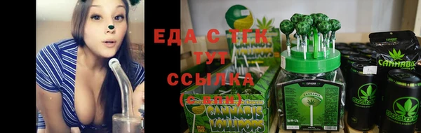 твердый Снежинск
