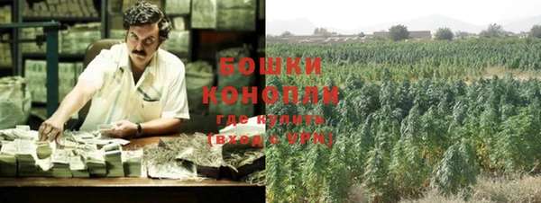 шишки Строитель