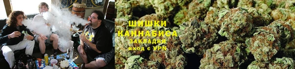 ГАЛЛЮЦИНОГЕННЫЕ ГРИБЫ Слюдянка